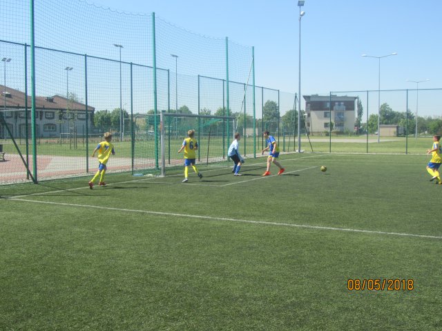 pino 11